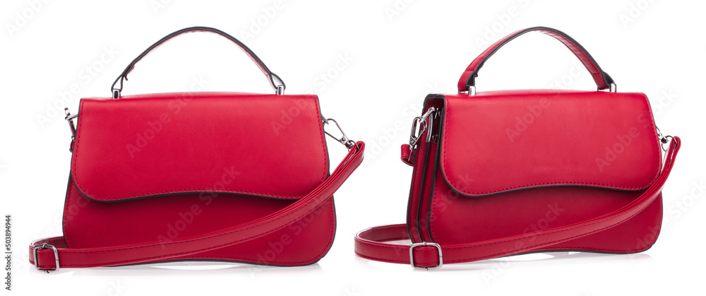 Collection of Women Handbags isolated on white background. - obrazy, fototapety, plakaty 
