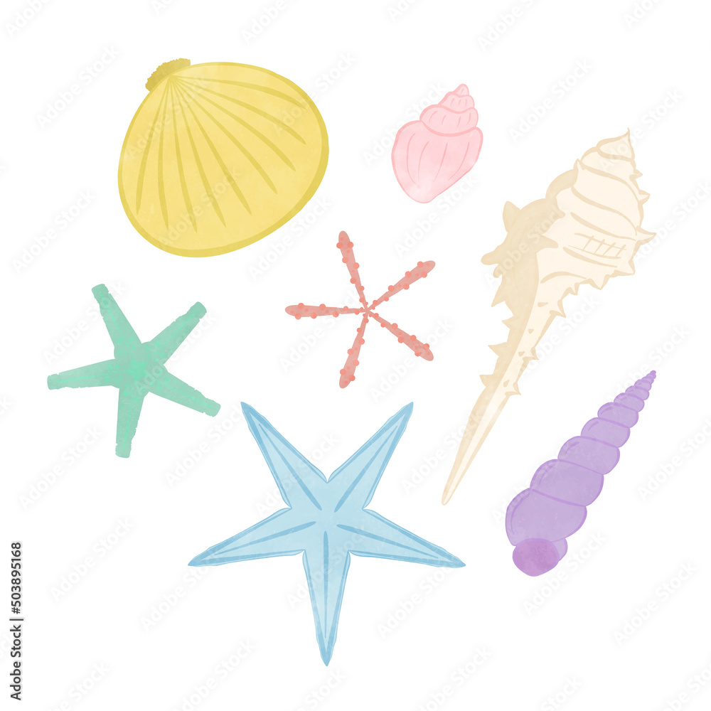 Cute seashell illustration set 01