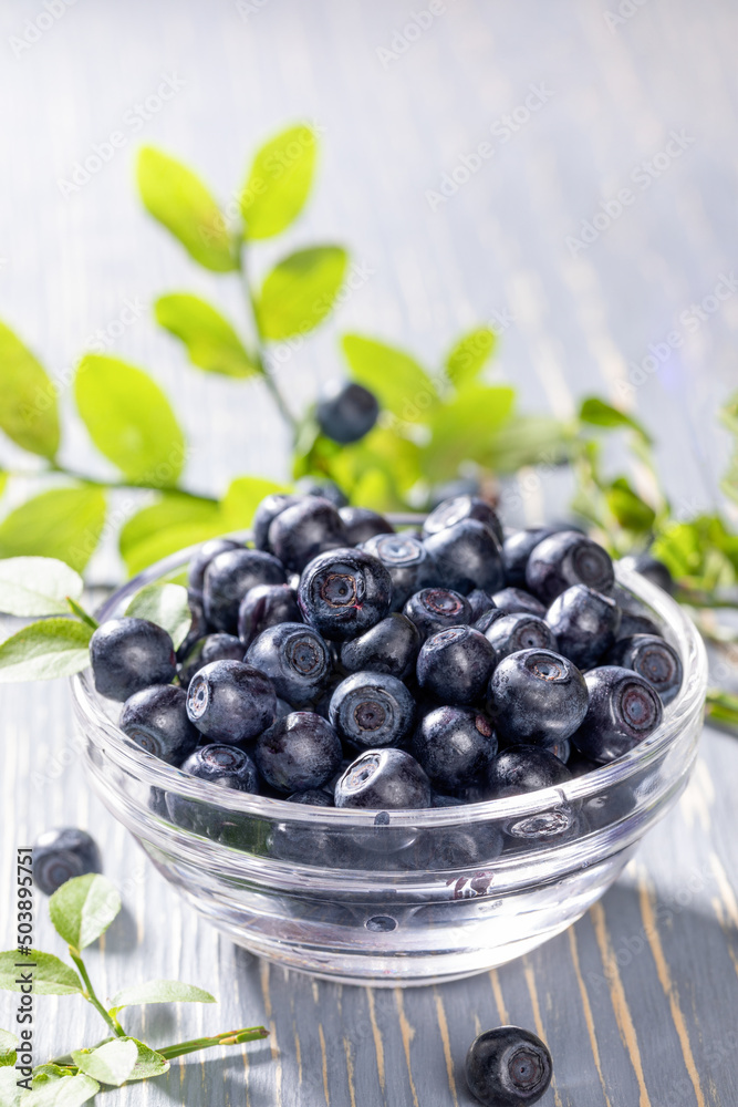 Sun backlit glass bowl with wild blueberries and fresh green leaves on grey wooden table close-up. Sun backlit glass bowl with wild blueberries and fresh green leaves on grey wooden table close-up.