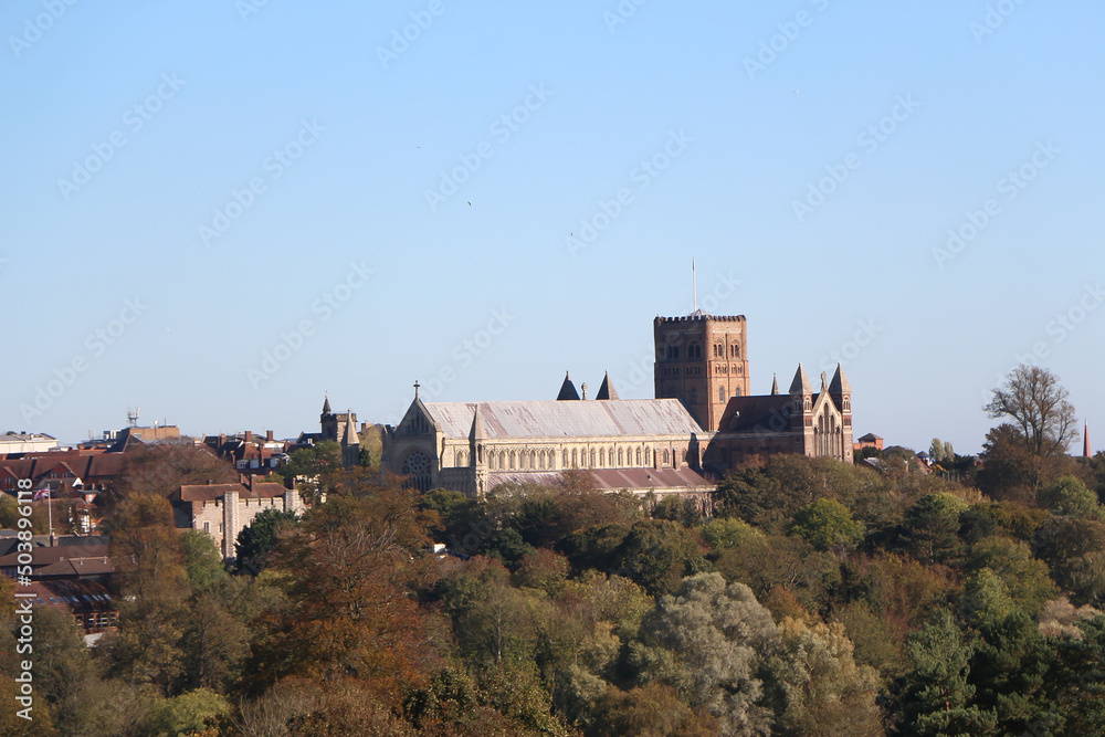 Strolling around a park in St Albans, Hertfordshire UK, seeing all the petrified trees and views to the majestic medieval cathedral.