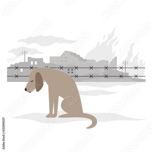 Animals are suffering during warfare. The dog on ruined houses background. Stop war, save the animals	
