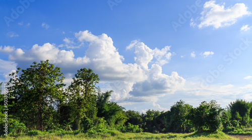 white clouds in the sky and green forest