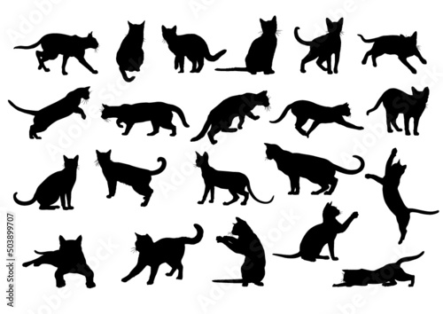 set of silhouettes of cats