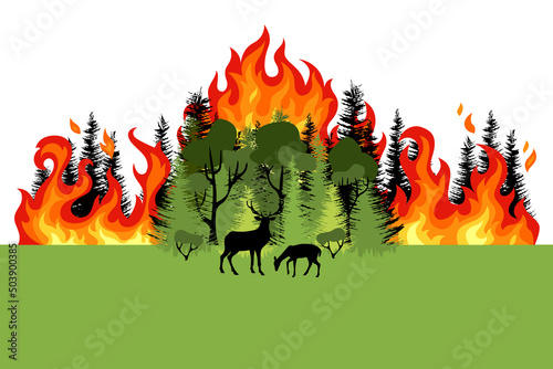 Forest fire. Colorful burning mixed forest and sihouette of deer. Green deciduous and coniferous trees on whit background. Flat design.Forest fire. Colorful burning mixed forest and sihouette of deer.