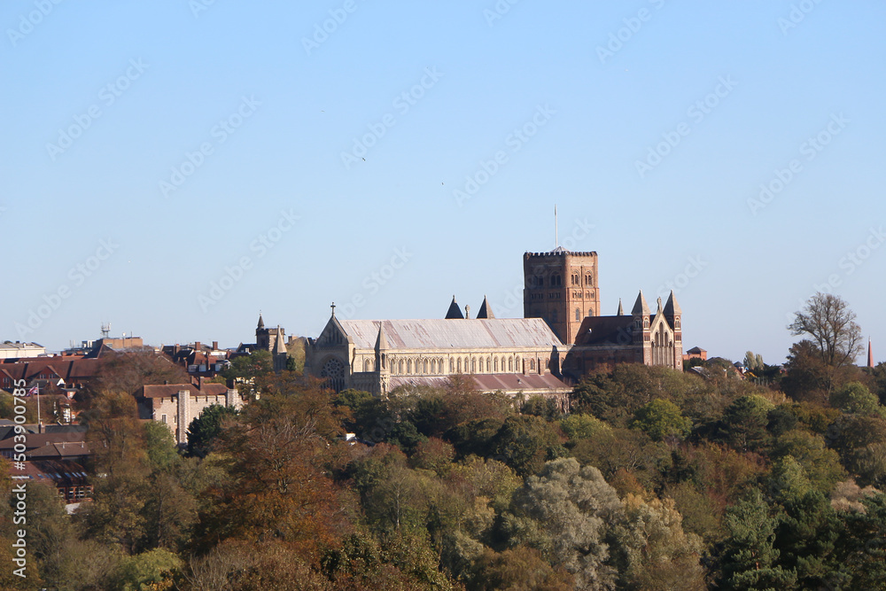 Strolling around a park in St Albans, Hertfordshire UK, seeing all the petrified trees and views to the majestic medieval cathedral.