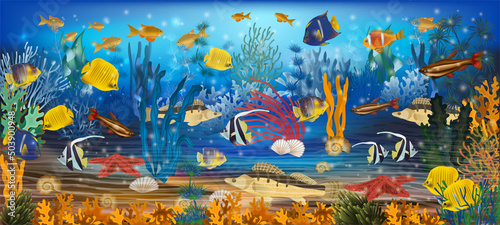 Fototapeta Naklejka Na Ścianę i Meble -  Underwater background with tropical fish. vector illustration