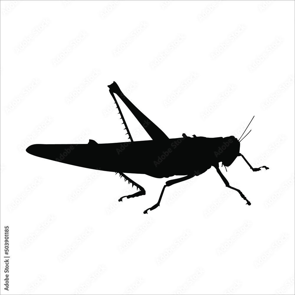 Silhouette of Grasshoppers for Logo or Graphic Design Element. Vector Illustration Silhouette of Grasshoppers for Logo or Graphic Design Element. Vector Illustration