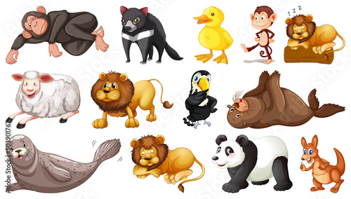 Different wild animals on white background
