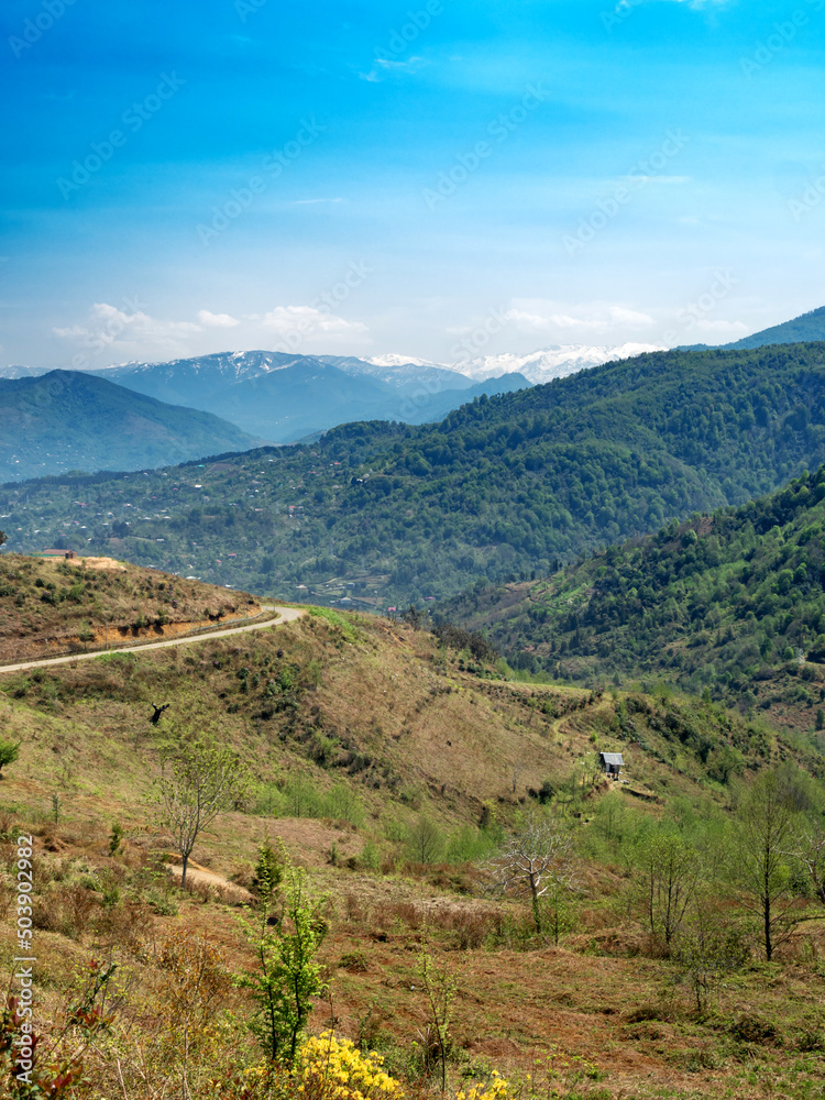 Mountain landscape. Blue sky. Valley in early spring. Serpentine road. Lonely standing house. Sunlight. Beautiful landscape. Young green plants are blooming. vertically. Place for text. Copy space Mountain landscape. Blue sky. Valley in early spring. Serpentine road. Lonely standing house. Sunlight. Beautiful landscape. Young green plants are blooming. vertically. Place for text. Copy space