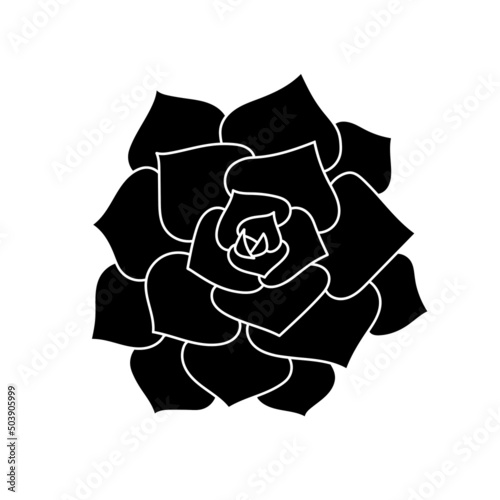 Succulent echeveria in simple style, vector illustration. Desert flower for print and design. Silhouette mexican plant, graphic isolated element on a white background. Houseplant for decor interior