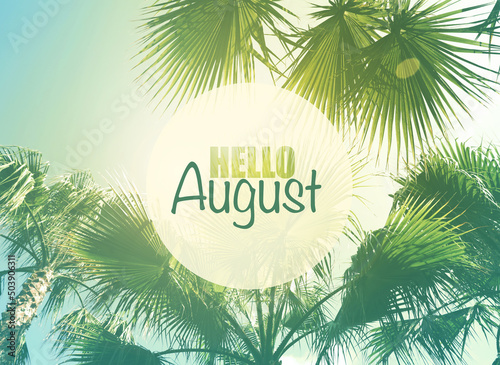 Hello August. Beautiful view of palm trees on sunny day photo