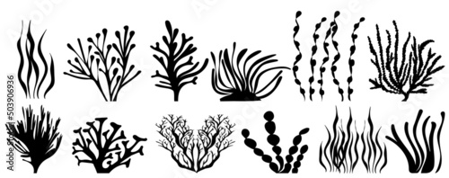 algae set of silhouette, on a white background, isolated, vector