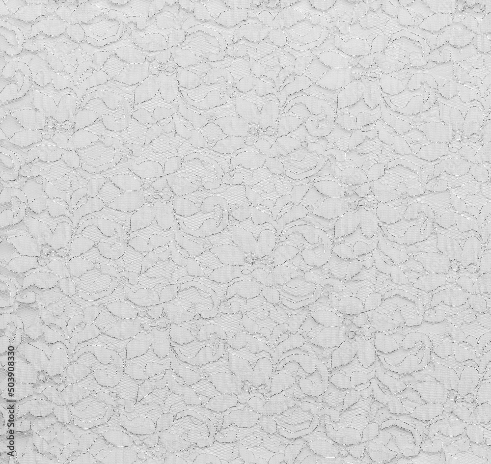 Lace background with silver lines and flowers Lace background with silver lines and flowers