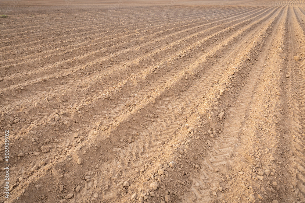 A large plowed agricultural field. Rows of beds ready for new plants. A large plowed agricultural field. Rows of beds ready for new plants.