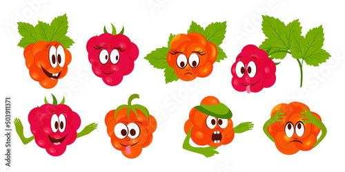 Raspberries, blackberries in cartoon style. Emotions and expressions. Color vector