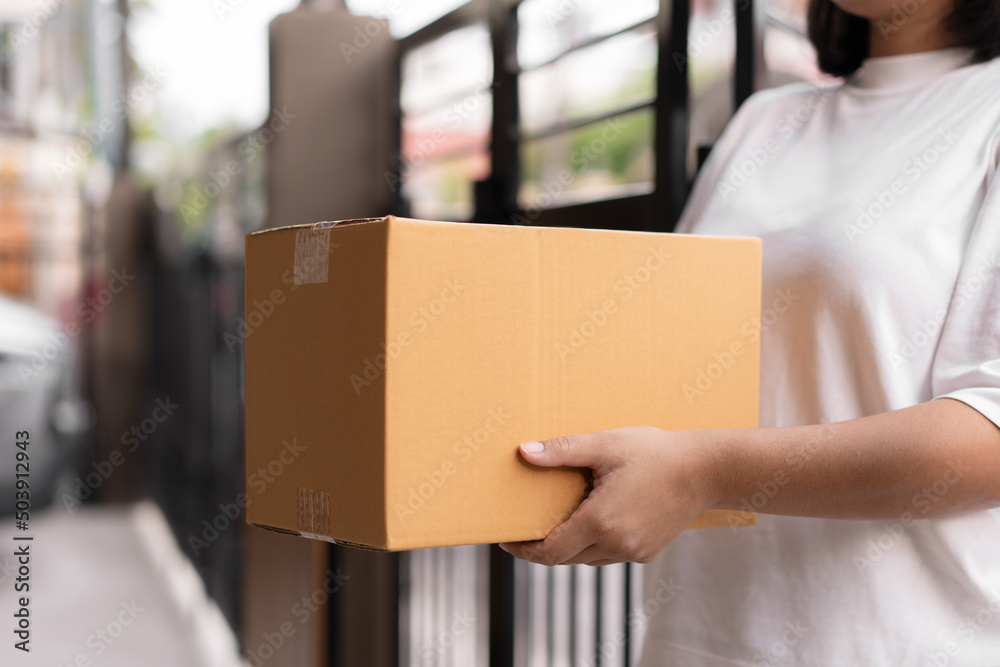 custom made wallpaper toronto digitalPostal service sending paper cardboard box to customer in front of a house outdoor. Shipping service arrival and send to customer address.