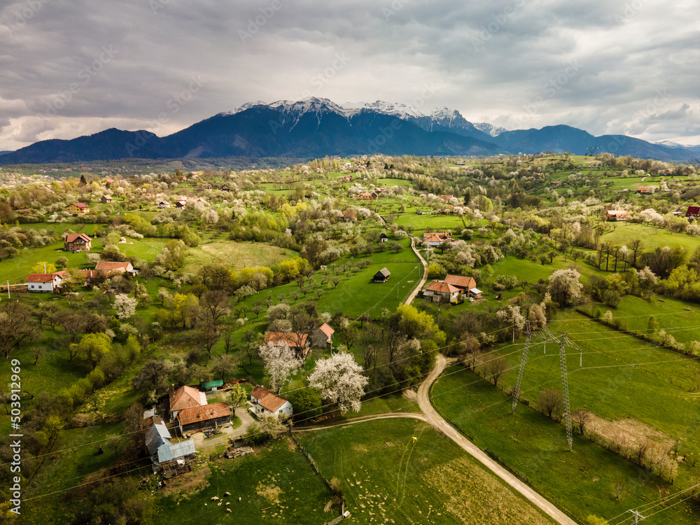 Obraz premium Beautiful spring scene of mountain Bran Village with colourful trees and beautiful background, Bran - Romania