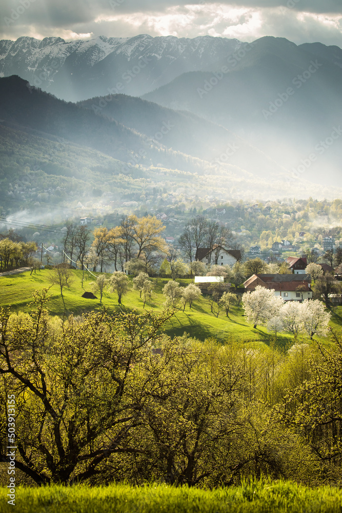 Beautiful spring scene of mountain Bran Village with colourful trees and beautiful background, Bran - Romania