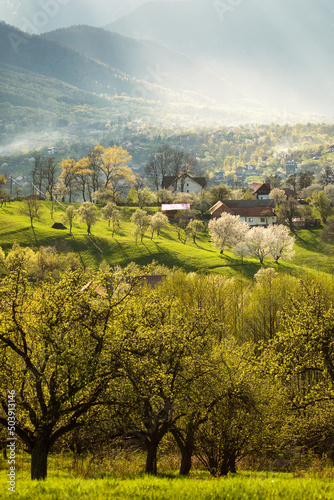 Fototapeta Naklejka Na Ścianę i Meble -  Beautiful spring scene of mountain Bran Village with colourful trees and beautiful background, Bran - Romania