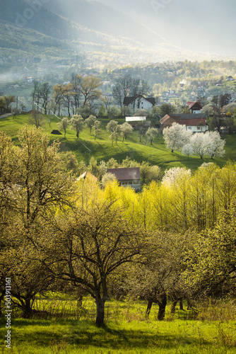 Beautiful spring scene of mountain Bran Village with colourful trees and beautiful background, Bran - Romania