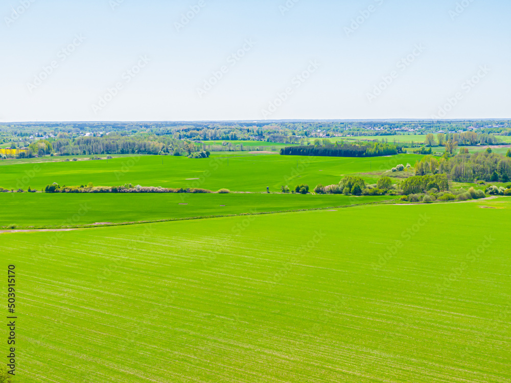 Bird eye view of green agricultural fields, europe