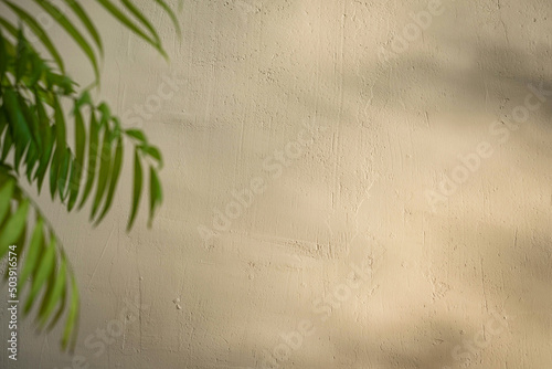 A textured beige wall with tree shadows and a defocused palm branch in the foreground. Tropical background with copy space.