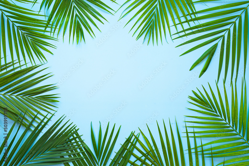 top view of tropical palm leaf on blue color background. minimal summer concept, flat lay, copy space.