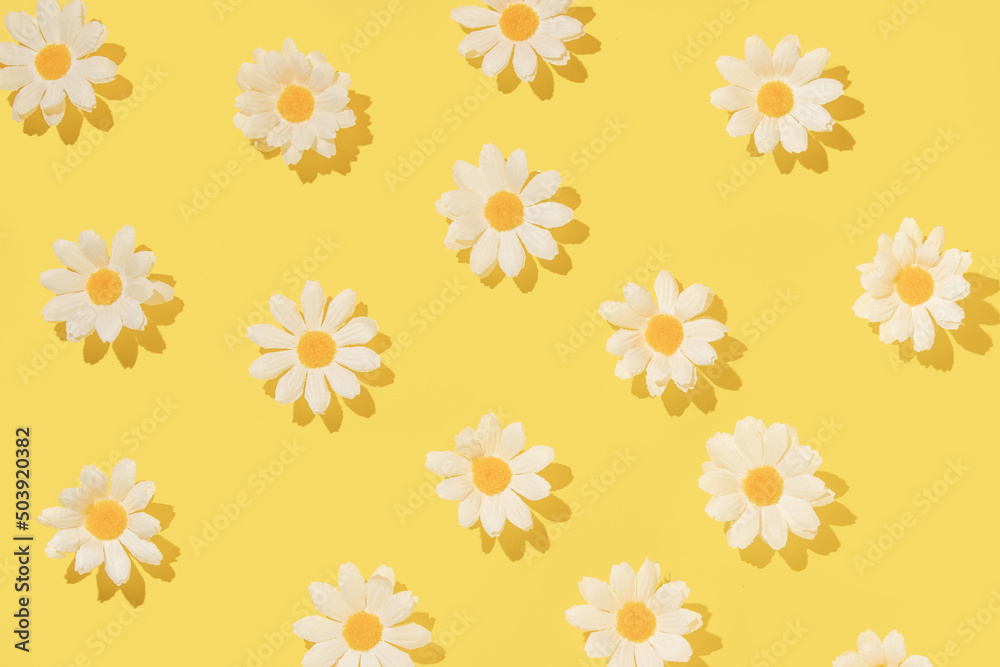 Spring creative layout with white flowers on bright yellow