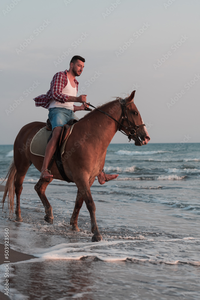 A modern man in summer clothes enjoys riding a horse on a beautiful sandy beach at sunset. Selective focus A modern man in summer clothes enjoys riding a horse on a beautiful sandy beach at sunset. Selective focus