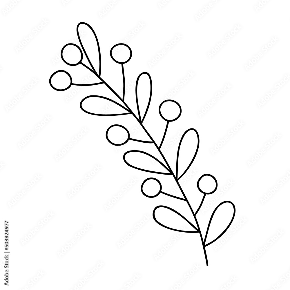Outline plant decorative branch with leaves and berries for home decor, festive holiday arrangement, vector illustration for seasonal greeting card, invitation, banner