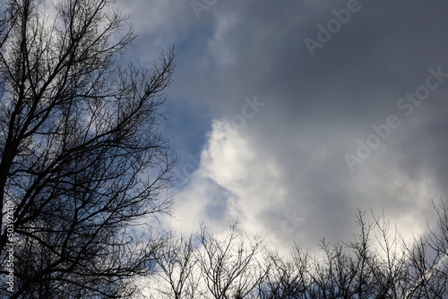 winter cloudy sky © human_antithesis
