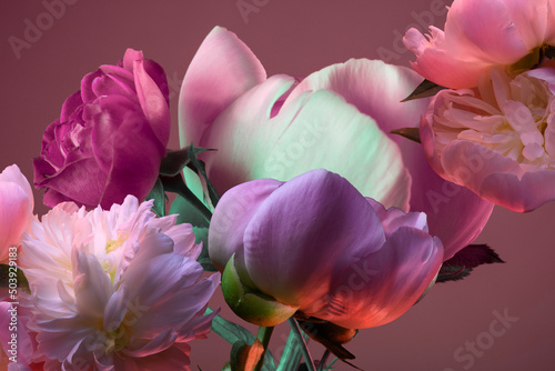 Fototapeta Naklejka Na Ścianę i Meble -  pink peonies and roses on a pink background, close-up, studio shot.