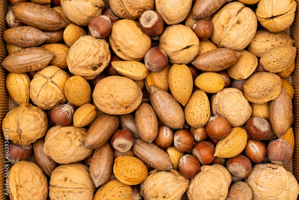 Background made from different kinds of nuts Background made from different kinds of nuts