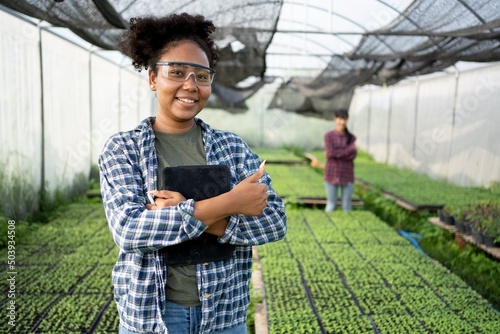 Beautiful African American organic vegetable garden owner with black skin.Standing smiling holding tablet with team farmers Help take care of seed plots in the greenhouse.Modern Agricultural,harvest.