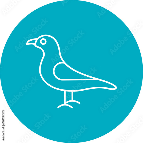 Seagull Icon Design