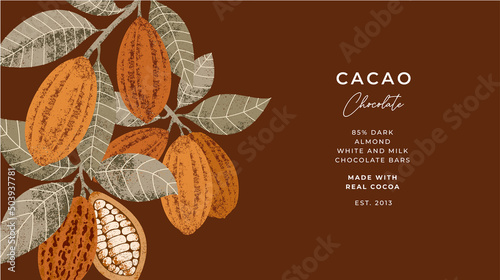 Chocolate bean textured illustration. Vintage style minimalist horizontal design template. Cacao bean. Vector illustration photo