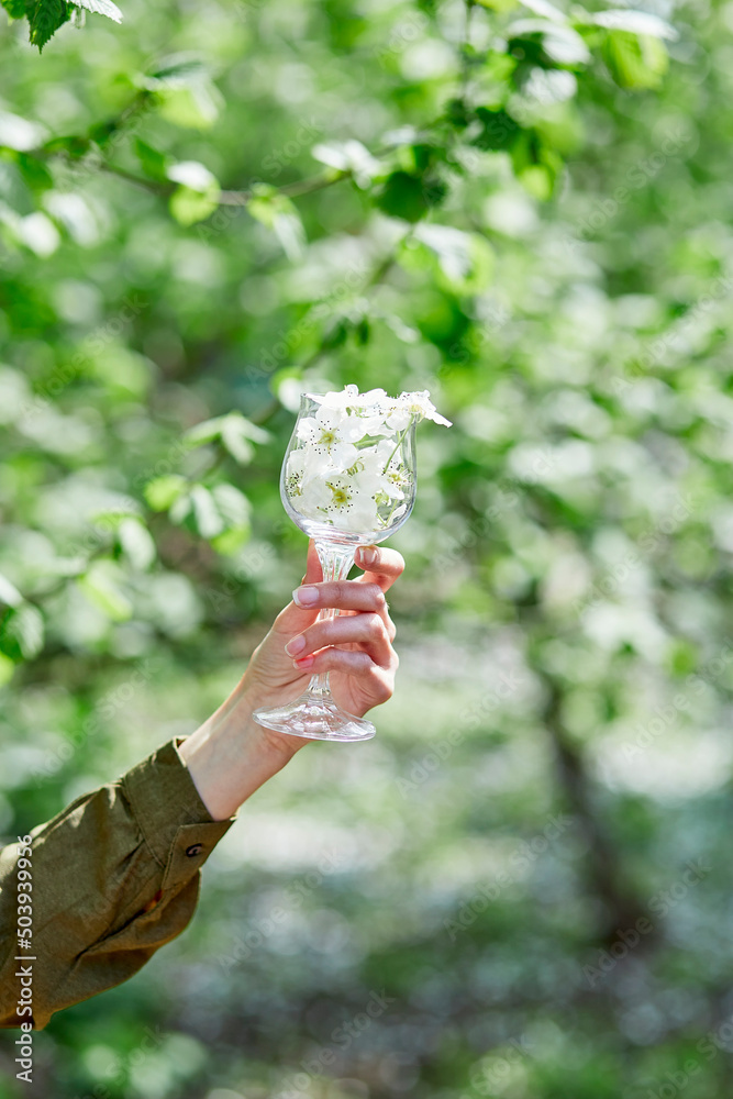 Woman hand holds a glass of wine full of blooming tree's flowers. Cottage core aesthetic, connecting with nature. enjoy the little things, naturecore, calm lifestyle, and sustainable life concept