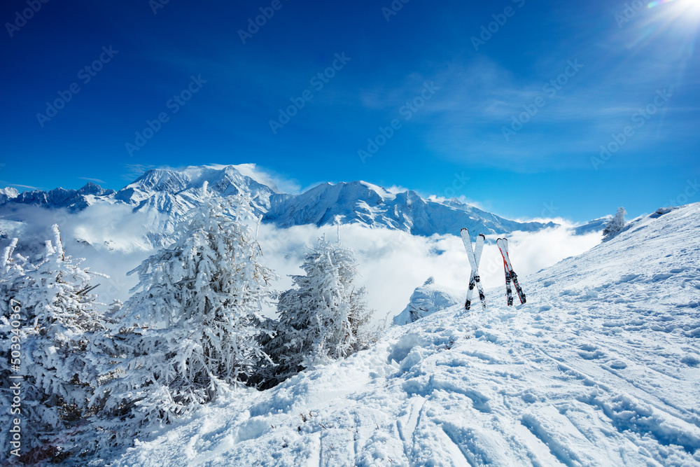 Snow covered bushes, trees and two pair of alpine skis