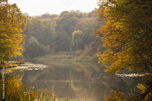 Fototapeta Naklejka Na Ścianę i Meble -  Autumnal season landscape. Fall weather in park . Yellow forest trees on the bank of lake. Autumn tourism.
