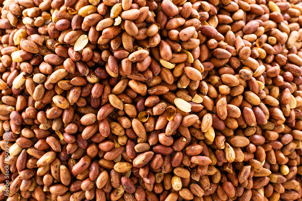 Red unpeeled peanuts panoramic view background Red unpeeled peanuts panoramic view background