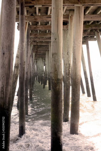 Beneath the Pier
