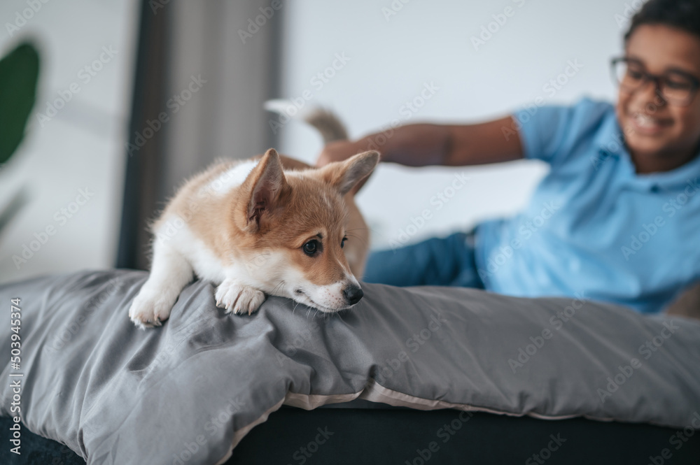 Cute dark-skinned boy in eyeglasses and his puppy at home Cute dark-skinned boy in eyeglasses and his puppy at home