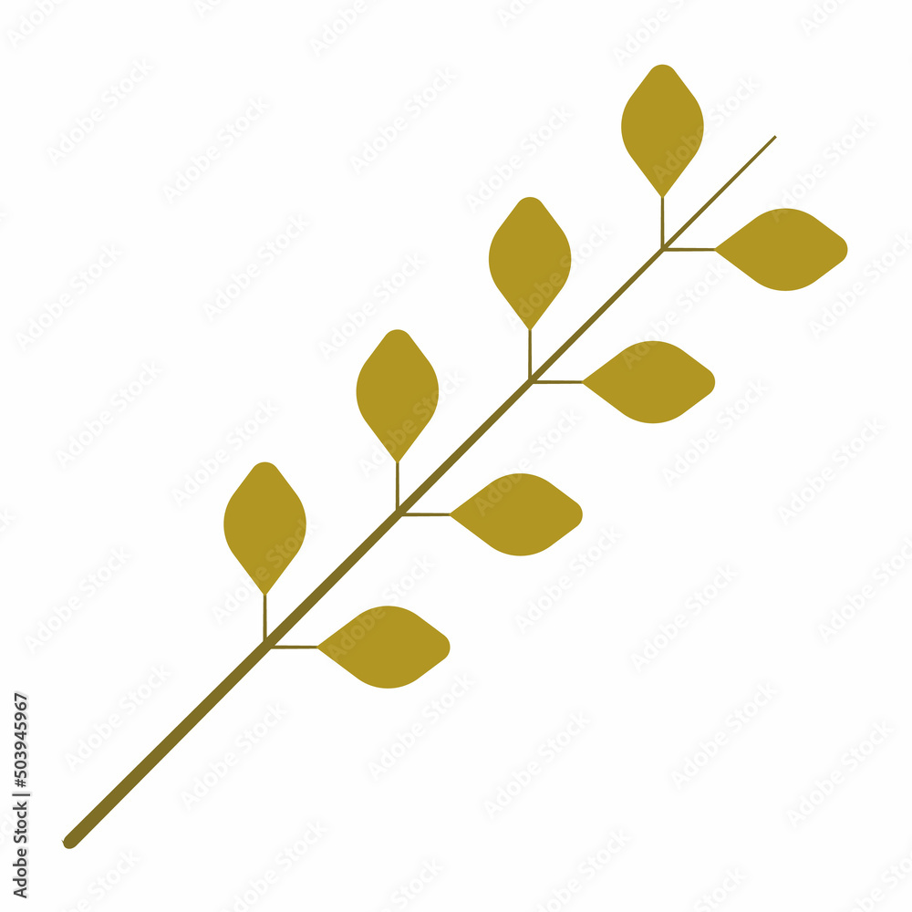 dry twigs isolated on white background dry twigs isolated on white background