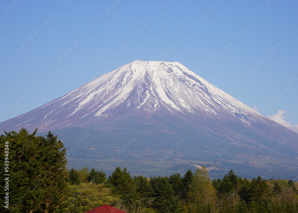 日本の山梨県の富士山麓の駐車場から富士山を眺める