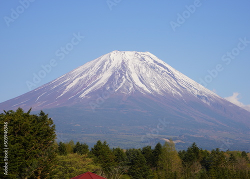 日本の山梨県の富士山麓の駐車場から富士山を眺める