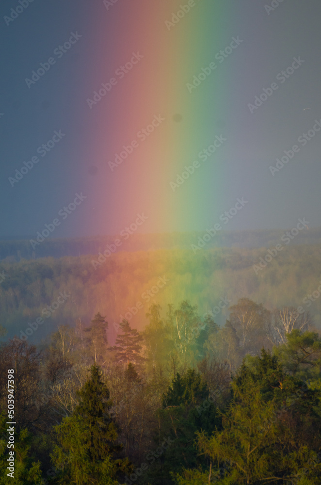 Naklejka premium rainbow in the mountains