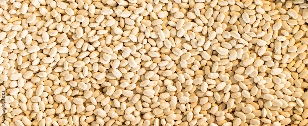 Raw peeled peanuts panoramic view background Raw peeled peanuts panoramic view background