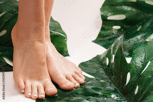 фотографія Wet female feet with smooth skin and tropical leaves