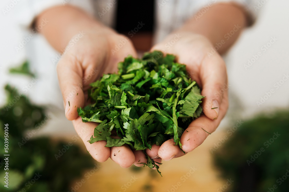 Female hands with handful of chopped coriander leaves