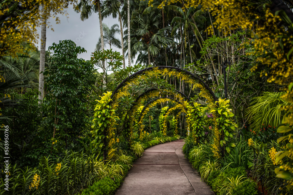 path in the garden